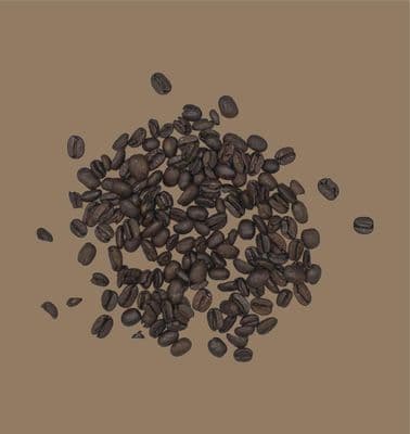 Ness Point Swiss Water Decaf Coffee