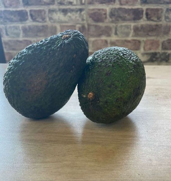 Organic Avocado