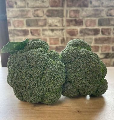 Organic Broccoli 500g
