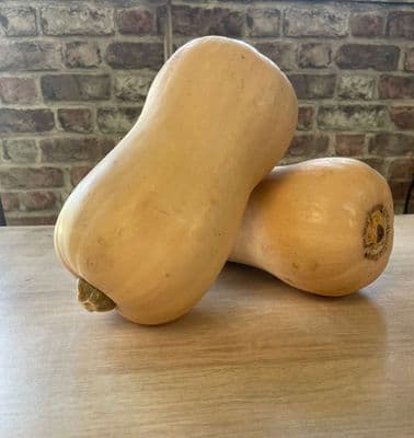 Organic Butternut Squash