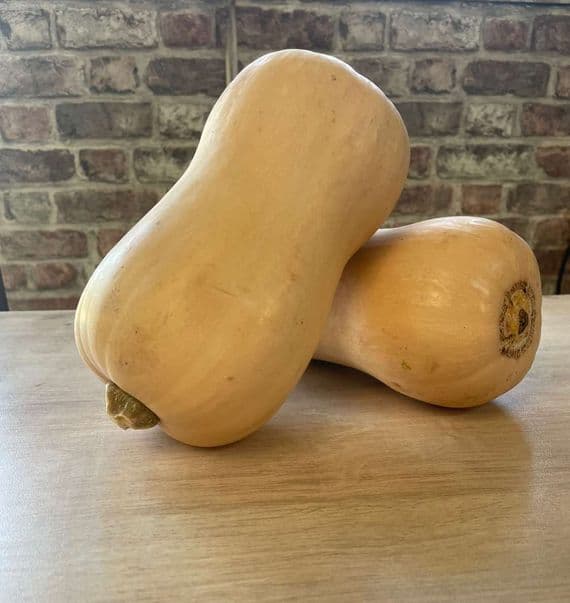 Organic Butternut Squash