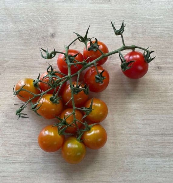 Organic Cherry Vine Tomatoes 250g