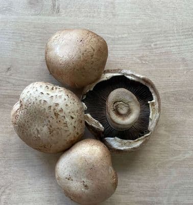 Organic Chestnut Mushrooms 250g