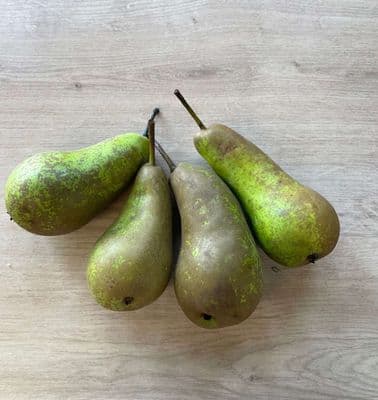 Organic Conference Pears 500g