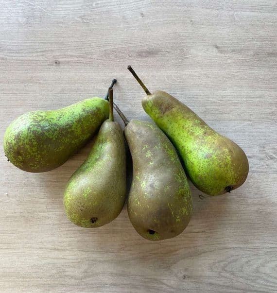 Organic Conference Pears 500g