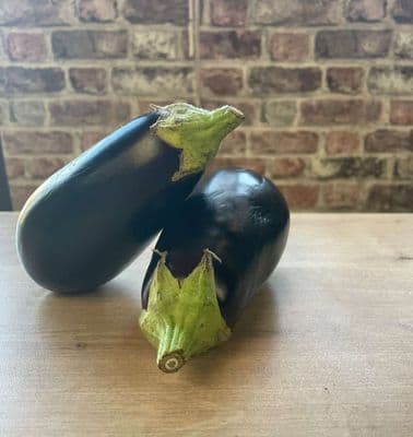 Organic Large Aubergine