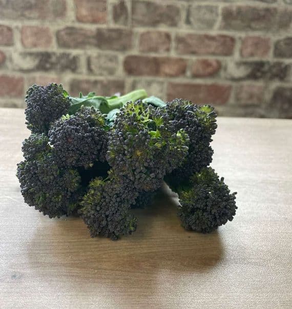 Organic Purple Sprouting Broccoli 250g