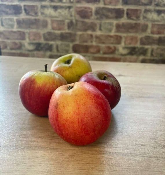 Organic Seasonal Apples 500g