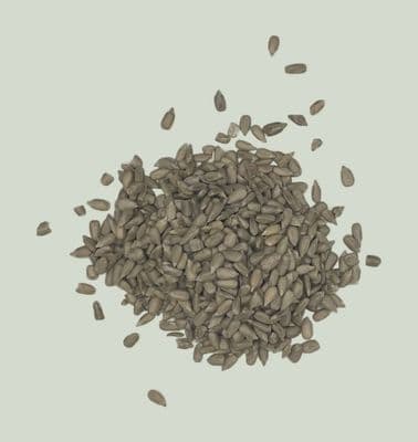 Sunflower Seeds