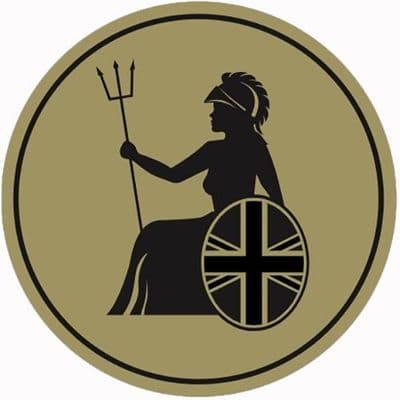 Britannia Snooker cues