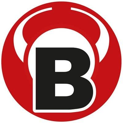 Bull's Darts Germany