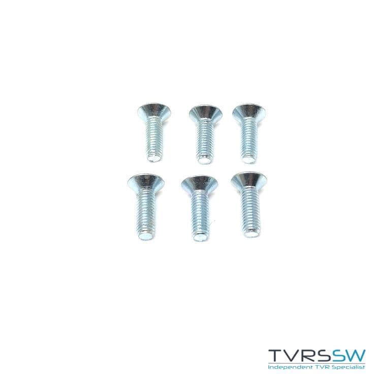 Steering wheel screw kit silver RD404S