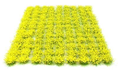 6mm Yellow flowers