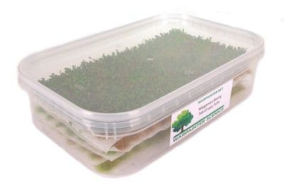 Wargamers basing tub of 455 tufts