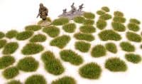 Wild green grass patches