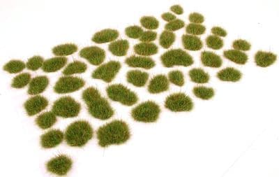 Wild green grass patches