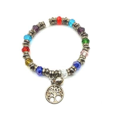 Multi Coloured Stretch Bracelet S/P Charms  STRBR0010