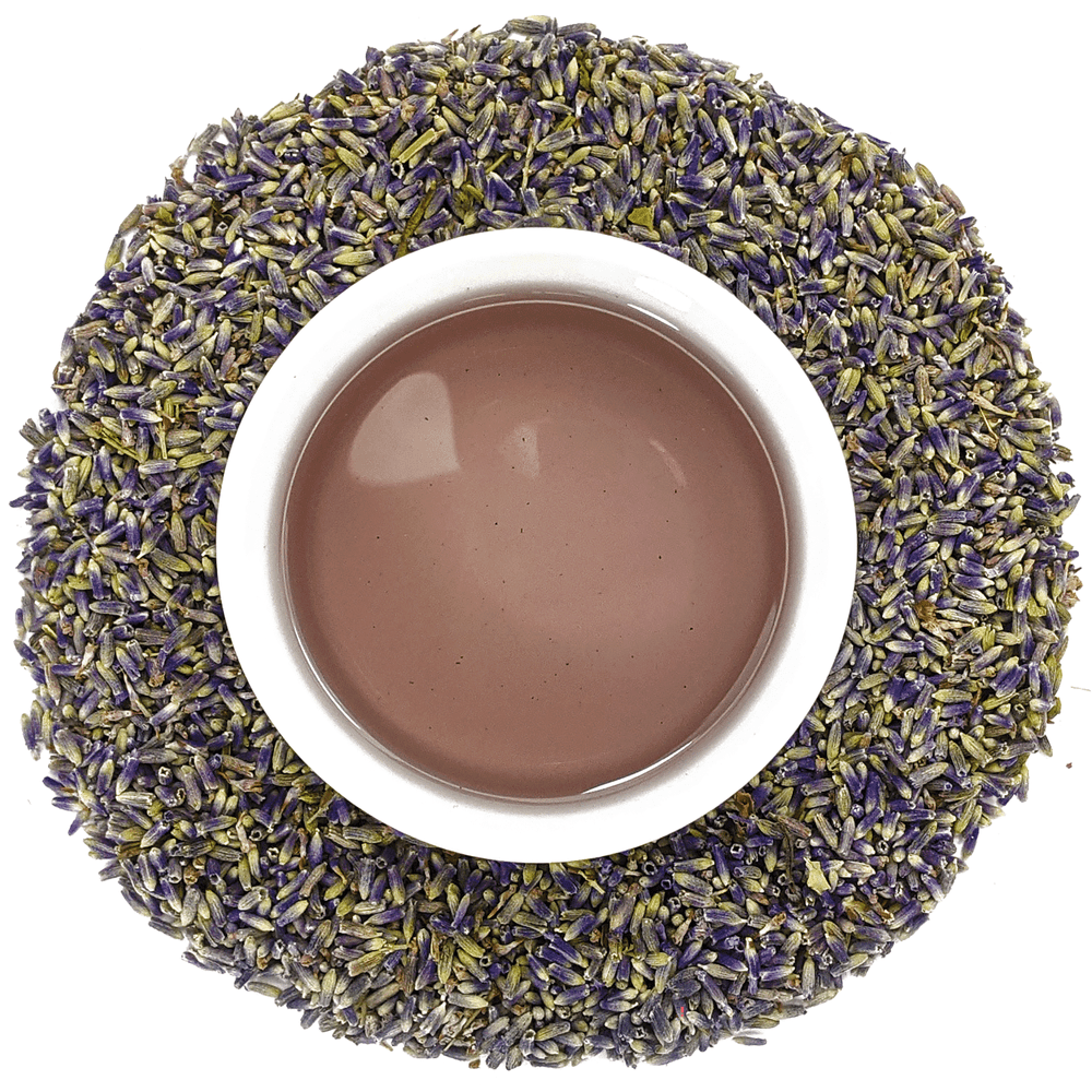 Lavender Tea - Lavandula Angustifolia