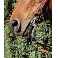 Bob Avila Byron Shank - Swivel Port