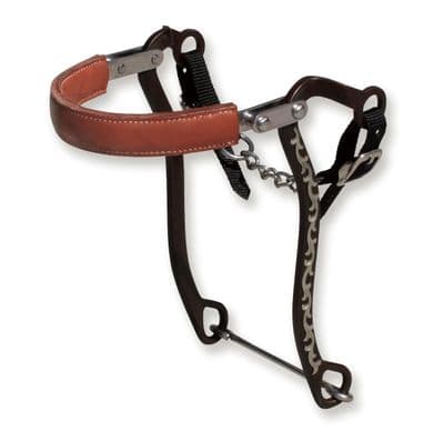 Bob Avila Mechanical Hackamore - Floral