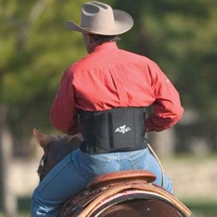 Professional's Choice Comfort Fit Low Back Support