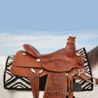 Professional's Choice Comfort-Fit SMx Air Ride Pad: El Dorado