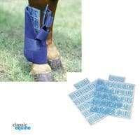 Professional's Choice Flexible Ice Cells
