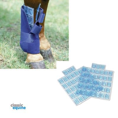 Professional's Choice Flexible Ice Cells