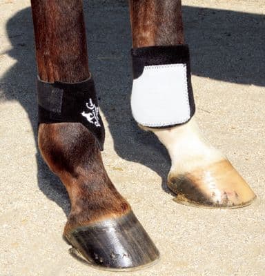 Professional's Choice Rear Ankle Boots