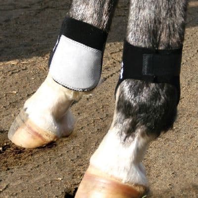 Professional's Choice Rear Ankle Boots