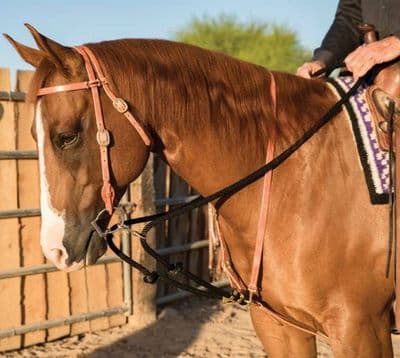 Schutz Brothers Draw Rope Martingale