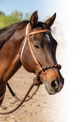 Schutz Brothers Loping Hackamore