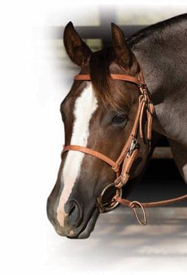 Schutz Brothers Trail Bridle