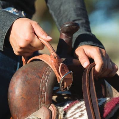 Schutz Nightlatch Security Strap