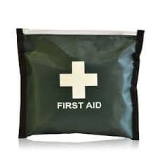 Green Envelope Pouch With Velcro Fastener