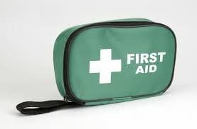 Travel Kit (BS8599-1:2019) in Green Bag with Loop