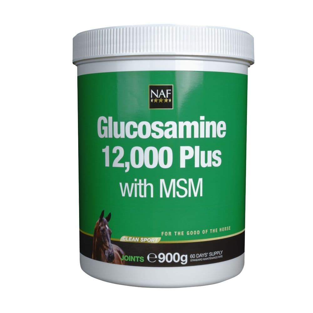 Glucosamine 12000 Plus with MSM 900g