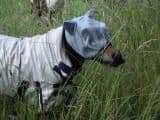 Bucas Buzz-Off Pony Fly Mask from Miniature