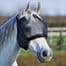Equilibrium Midi Fly Mask( in sizes from Miniature)
