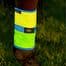 Equisafety Charlotte Dujardin Pony Leg Boots