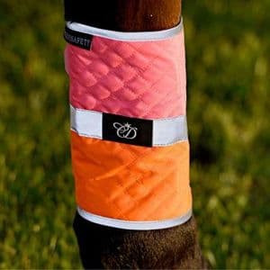 Equisafety Charlotte Dujardin Pony Leg Boots