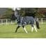 Horseware Amigo Petite Plus Medium Turnout Rug (For Miniature Horses & Shetlands) From 2'9