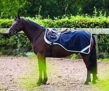 Horseware Amigo Pony Competition Sheet