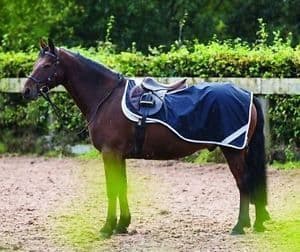 Horseware Amigo Pony Competition Sheet