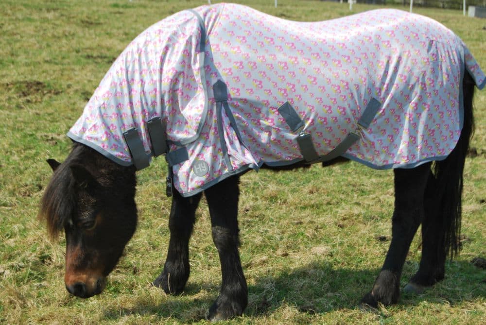Hy Butterfly Combo Fly Rug