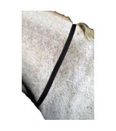 Libbys Webbing Neck Strap