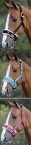 Shires Fleece Lined Lunge Cavesson