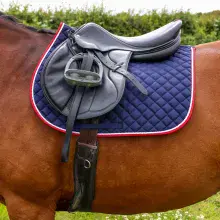 Splendid Showjump Saddle Pad