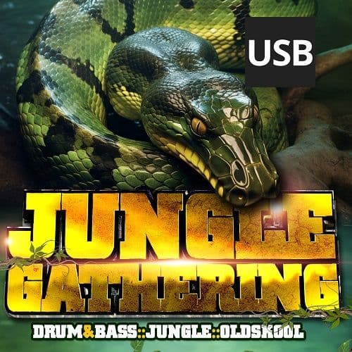 Jungle Gathering - 2024 - USB