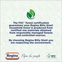 Regina Blitz Giant Household Towel - 1 Roll, 3-Ply, 260 Sheets, FSC Certified